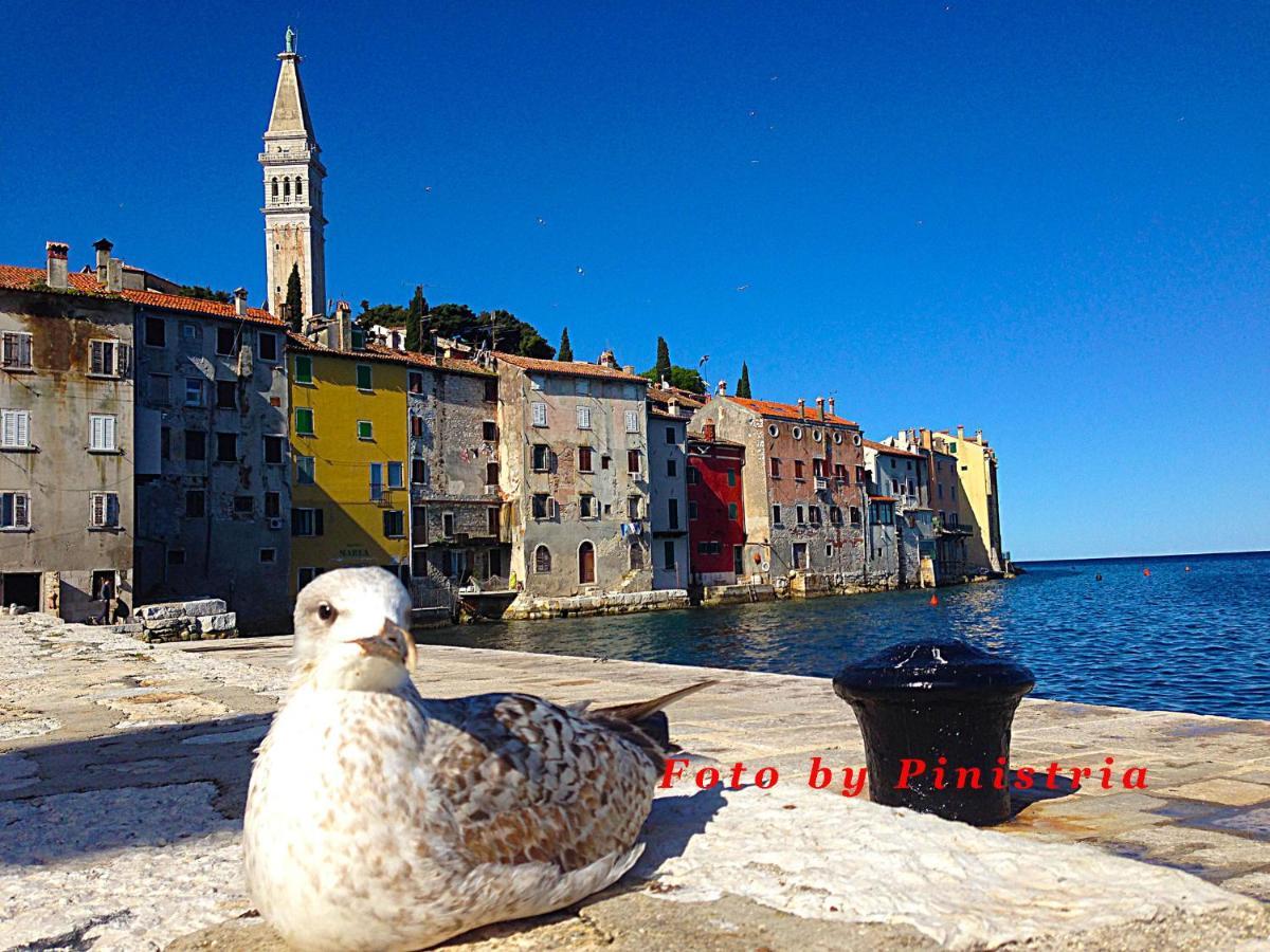 Apartament App Milija Rovinj Zewnętrze zdjęcie